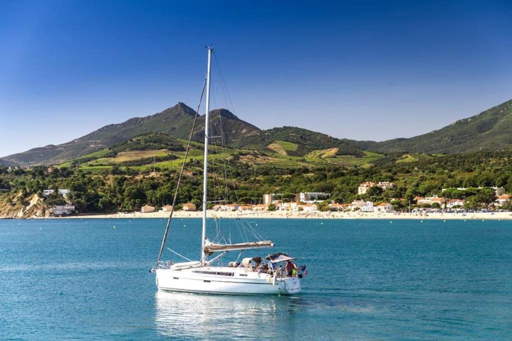 "Les Bambous" Studio Cosy Climatise Au Calme De 37 M2 Parking Gratuit A Argeles Sur Mer Eksteriør bilde